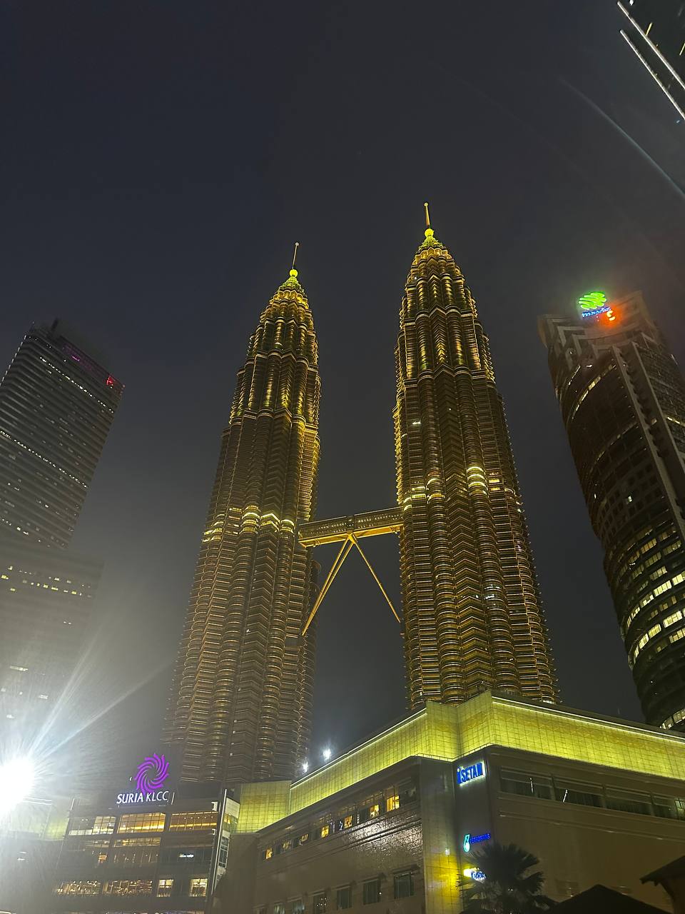 Petronas Towers Night
